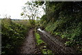 Farm track at Gildage Farm