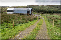 R8967 : Farm track west of R497 by David P Howard