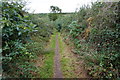 SK5263 : Path leading to Mansfield Woodhouse by Ian S