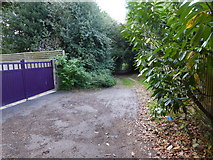 TQ3438 : Cuttinglye Lane with blue gates by Shazz