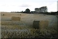 Square bales, St Martins