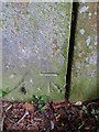 Benchmark on Stile near Chalice Orchard, Glastonbury