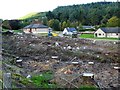 Cleared forest at Tillyfourie