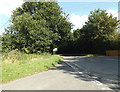 TM1589 : Wash Lane, Sneath Common by Geographer