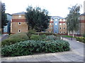 High Wycombe : Student Accommodation