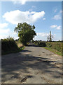 TM1589 : Woodstock Lane, Sneath Common by Geographer