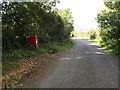 TM1491 : Low Common Road & Low Common Postbox by Geographer