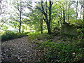 Track passing ruins of Lower Cote, Meltham