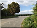 TM1691 : Muir Lane,  Aslacton by Geographer