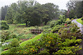 W6075 : Blarney Castle Gardens by David P Howard