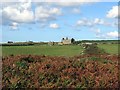 Ruined farm at Trevean