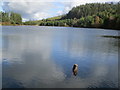 Llyn Glangors