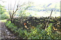 Gale Lane descending towards Low Houses