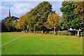 Trees in Leys Recreation Ground, Station Lane, Witney, Oxon