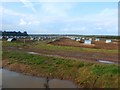 Piggery seen from Martin Lane