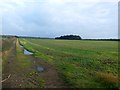 Farmland near Hesley Lodge