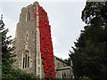 TM2363 : Virginia creeper on the church tower by Adrian S Pye