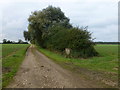 Track to Lodge Farm off Reed Lane in Norfolk