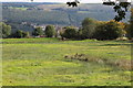 ST2098 : Ebbw Valley Walk towards Tir hunt by M J Roscoe