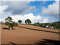 Earthen field on north side of B4521