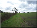 Footpath to Trust Farm