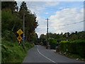 O1724 : Woodside Road, near Sandyford, South Dublin by David Sands