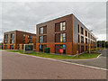 NH6945 : Student Accommodation Building by valenta