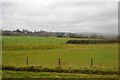 Farmland, Stoke Cannon