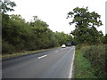 A12, looking north east