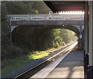 ST5874 : Railway footbridge, Redland by Derek Harper