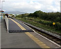 Harrington Hump at Aberdovey railway station