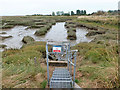 Little Wakering Wick no. 2 sluice