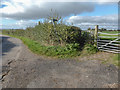 Grafton Lane footpath