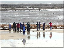 NU2613 : Bird watchers on Boulmer beach by Oliver Dixon