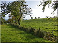 Culbuck Townland