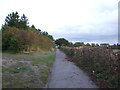 Cycle path beside the A12 roundabout