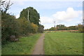 Footpath through Willow Meadows