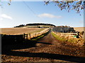 Track to Kirkton Farm near Abernyte