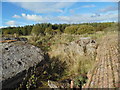 Berryhill No.3 Ironstone Pit