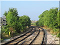 Lines west of Whitstable station