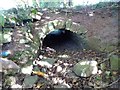 SO8845 : Old culvert in Croome Park by Philip Halling