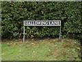 Hallowing Lane sign