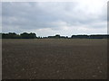 TM4783 : Flat field near West End Farm by JThomas