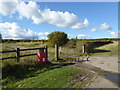 Track to Silverdale Country Park