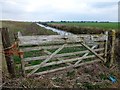 TL4177 : Gate on the washland - The Ouse Washes by Richard Humphrey