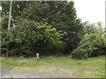 TM1686 : Footpath off Stony Road by Geographer