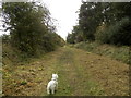 Line of former railway near Morton Lochs