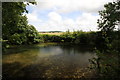 River Allen, near Didlington Mill