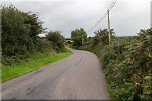 W4970 : View east along the L2202 by David P Howard