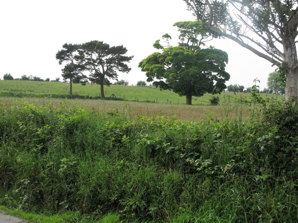 Hay meadow alongside Dunmore Road © Eric Jones :: Geograph Ireland